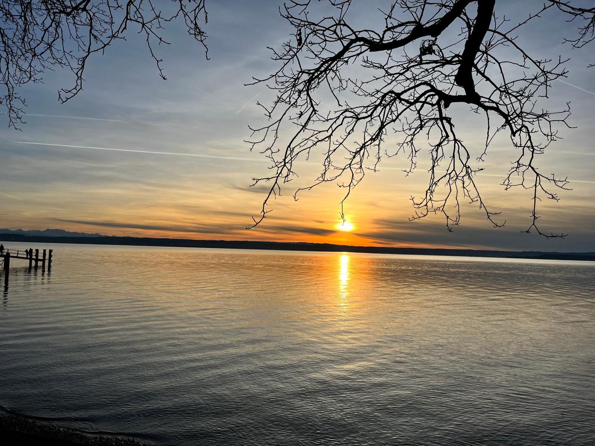 Gaestehaus Am Hafen Meersburg Dış mekan fotoğraf